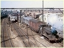1954,Redfern