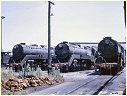 3806,3816,3813,Enfield