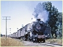 3624,Orange