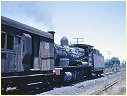5384,Orange