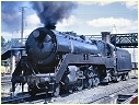 3807,Orange