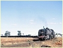 6014,Dubbo