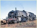 6014,Dubbo