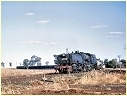 6038,Dubbo