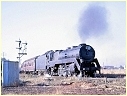 3812,Dubbo