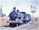 3203,Dubbo