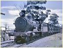 3335,Dubbo