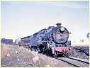 3641,Dubbo