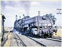 6007,Orange