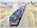 3824,Dubbo