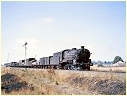 3641,Orange