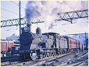 3308,Sydney