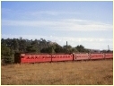 Lilydale