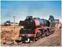 R704,Nyora