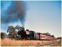 J500,Nyora
