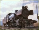 J504,Bendigo