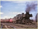 J506,Bendigo