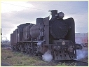 N499,North Geelong