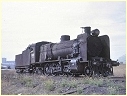 N499,North Geelong