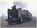 N498,North Geelong