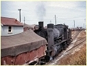 N493,North Geelong