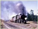 J519,Maryborough