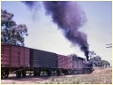 N457,Maryborough