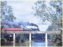 K184,Murchison