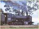 K184,Murchison