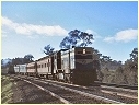 T,Broadford
