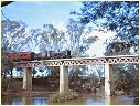 K184,Murchison
