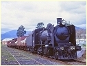 K184,Healsville