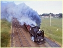 K184,Sunbury