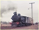 T224,Terowie