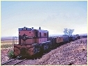 864,Caltowie