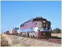 909,Snowtown