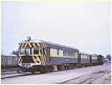 100,Gladstone