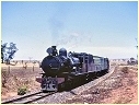 T185,Wirrabara