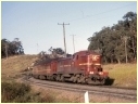 4003,Fassifern