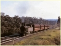 3141,Fassifern