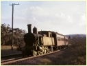 NSW 1969