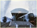 R707,3801,Albury