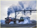 R707,3801,Albury