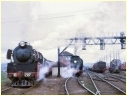 R707,3801,Y149,Albury