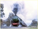 3801,The Rock