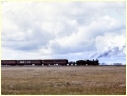 3078,Narrandera