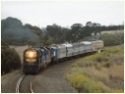 T364,T356,T385,R700,Moorabool