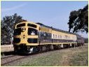 S313,Newstead
