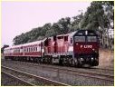 N452,Wandong