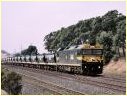 G515,Wandong